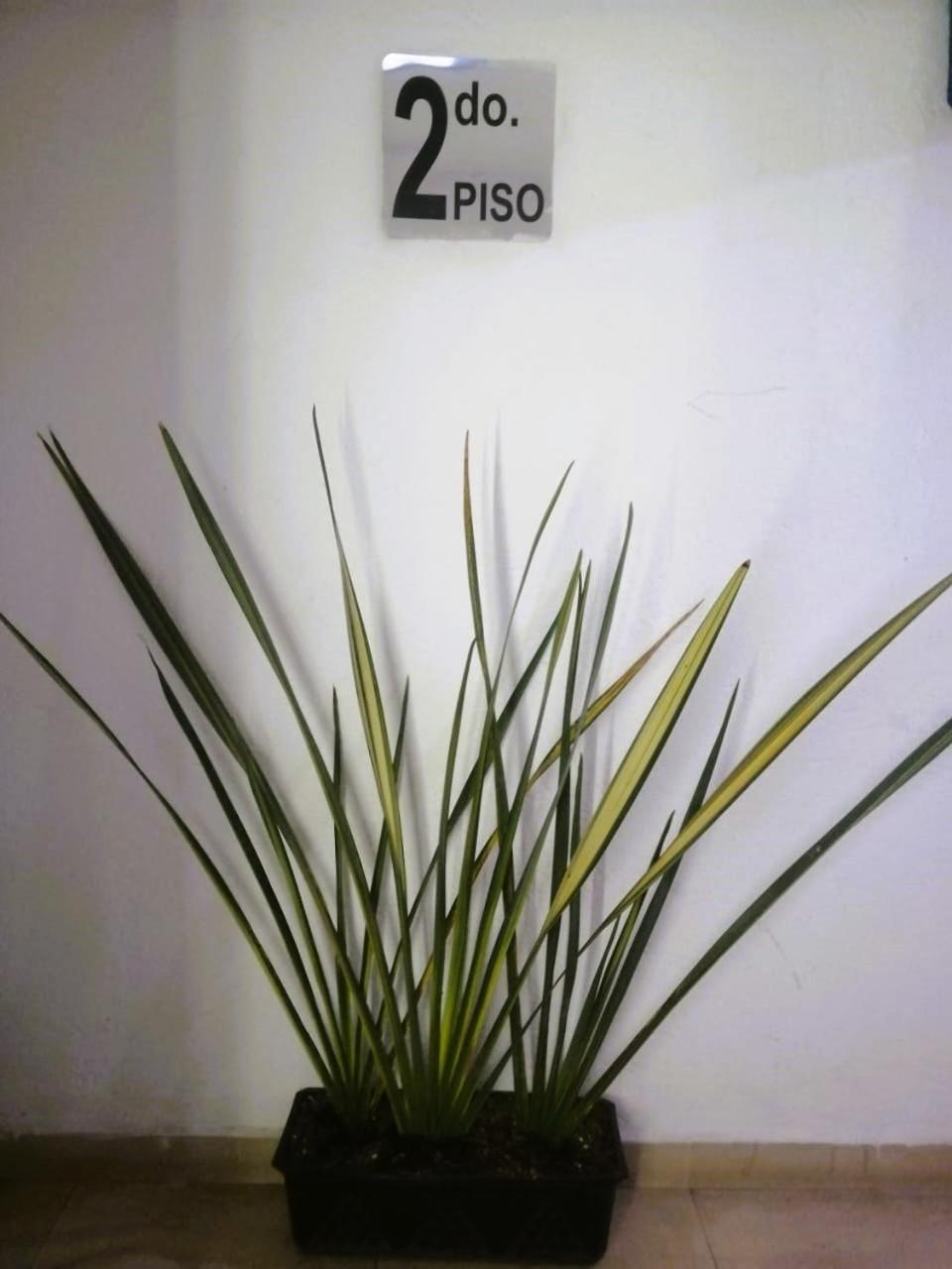 Apartment Lahun Mexico City