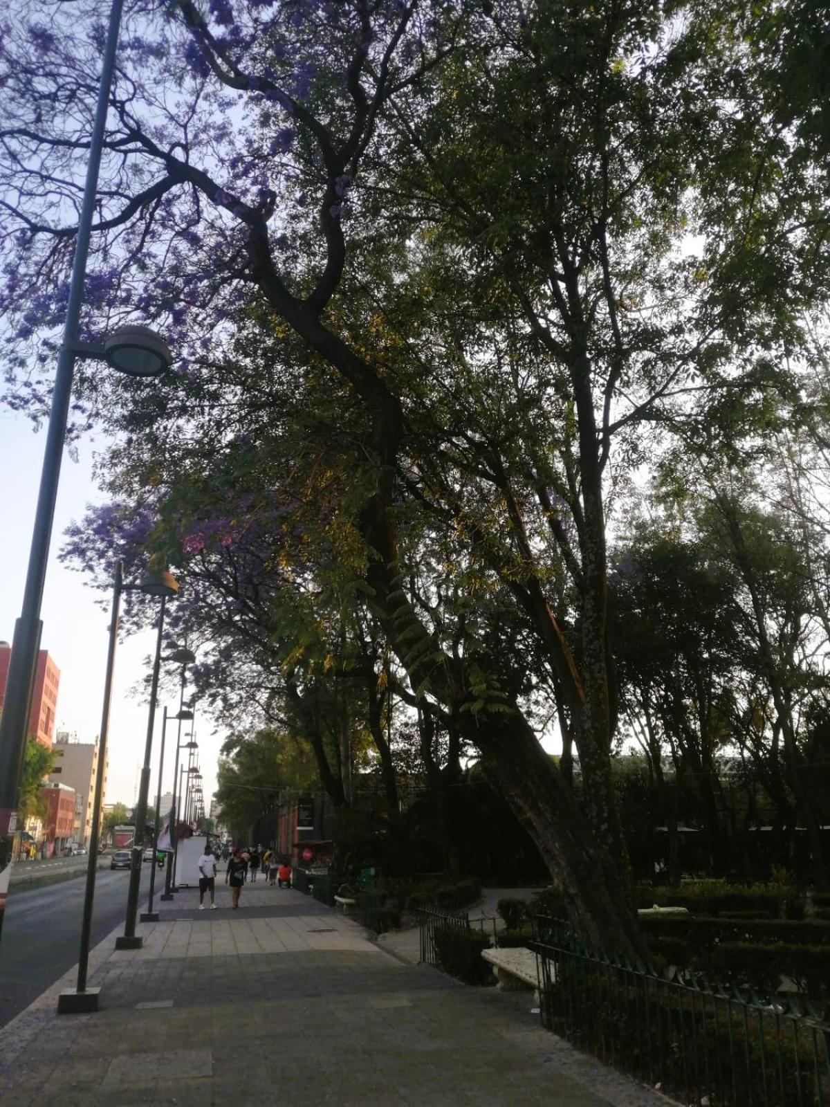Lahun Apartment Mexico City